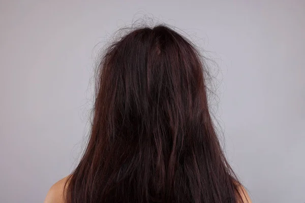 Woman with damaged hair on light grey background, back view