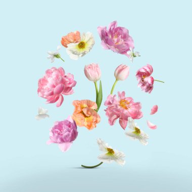 Açık mavi arkaplana düşen farklı güzel beyaz çiçekler.