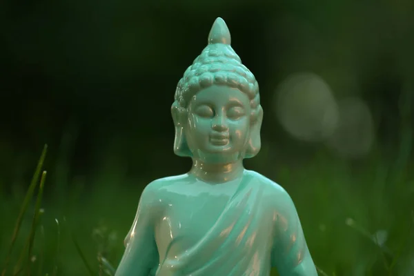 屋外の緑の草の装飾的な仏像 クローズアップ — ストック写真