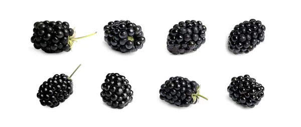 Set Tasty Ripe Blackberries Isolated White — Stock Photo, Image