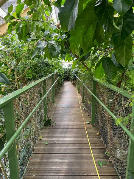 Bridge with railings among plants in botanic garden