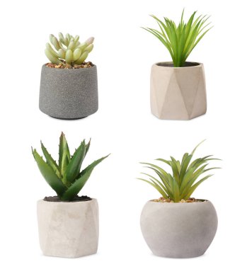 Çiçek saksılarındaki yapay bitkiler beyaza izole edilmiş.