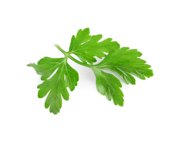 Sprig Fresh Green Parsley Leaves Isolated White — Stock Photo, Image