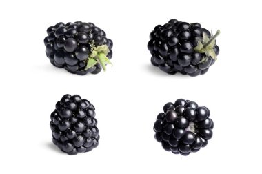 Lezzetli böğürtlen beyaza izole edilmiş, kolaj