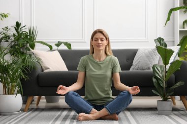 Evinde güzel saksılarla çevrili meditasyon yapan bir kadın.
