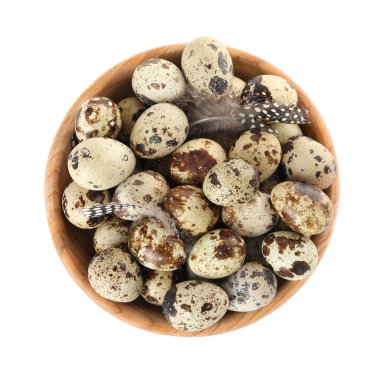 Beyaz renkte benekli bıldırcın yumurtası ve tüyleri olan bir kase.