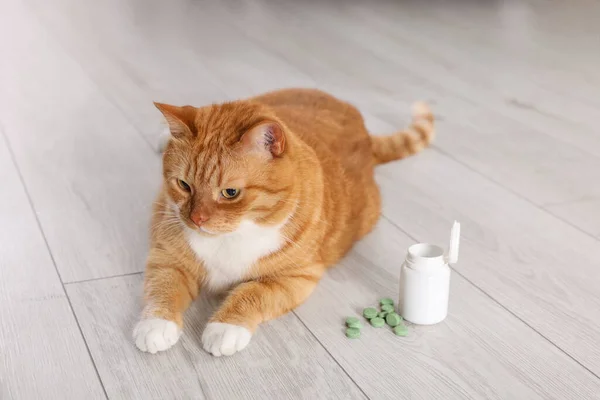 Cute Ginger Cat Vitamin Pills Indoors — Stock Photo, Image