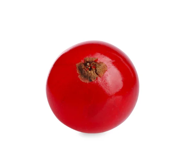 Bir Olgun Kırmızı Frenk Üzümü Beyaza Izole Edilmiş — Stok fotoğraf