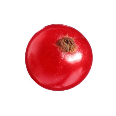 Bir olgun kırmızı frenk üzümü beyaza izole edilmiş.