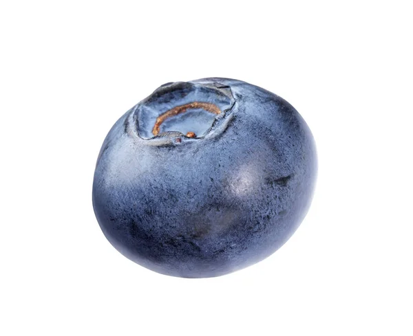 One Fresh Ripe Blueberry Isolated White — Stock Photo, Image