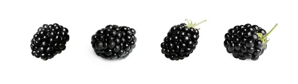 用白色拼贴法分离的成熟黑莓味 — 图库照片
