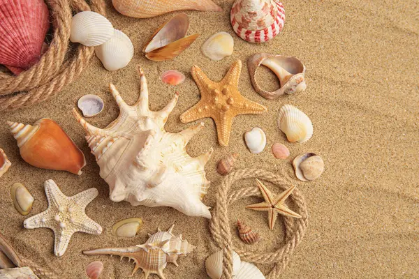 Beautiful Sea Stars Shells Ropes Sand Flat Lay — Stock Photo, Image