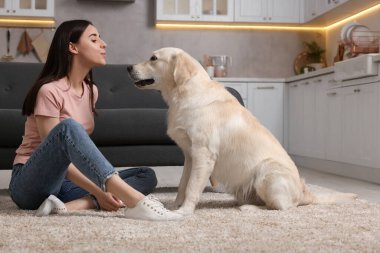 Evde şirin Labrador Retriever köpeği olan mutlu bir kadın. Sevimli hayvan.