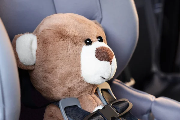 Teddy Maci Gyerekbiztonsági Ülésen Kocsiban — Stock Fotó