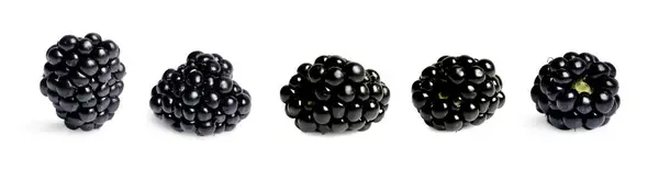 用白色拼贴法分离的成熟黑莓味 — 图库照片