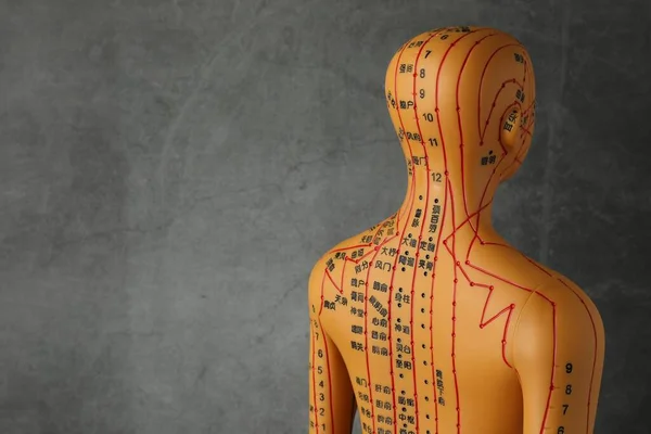 Acupuncture model. Mannequin with dots and lines on dark grey background, space for text