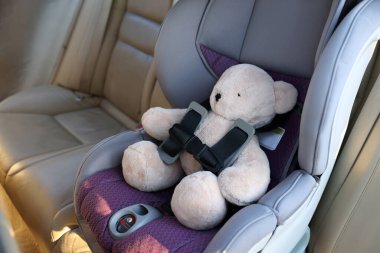 Arabanın içindeki çocuk emniyet koltuğunda oyuncak ayı.