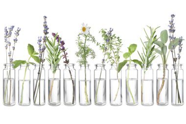 Beyaz bitkilerle izole edilmiş farklı temel yağlar.