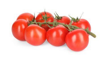 Branch of red ripe cherry tomatoes isolated on white