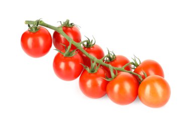 Branch of red ripe cherry tomatoes isolated on white