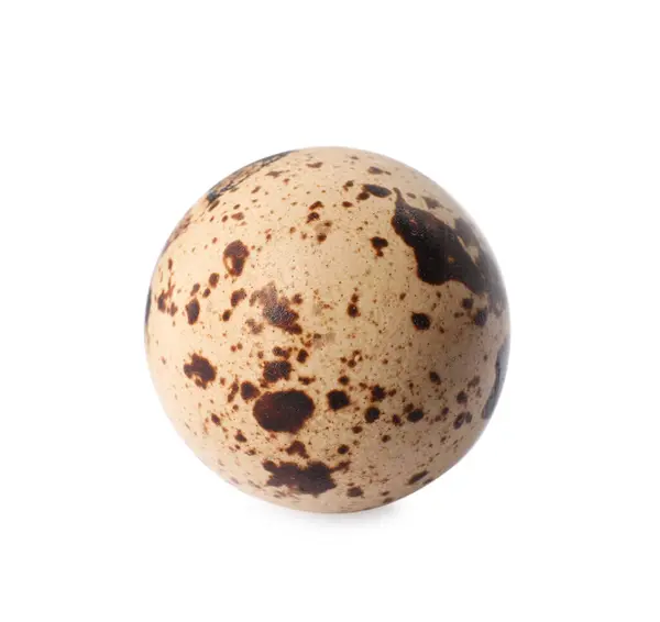 一只斑点鹌鹑蛋被白色隔离 — 图库照片