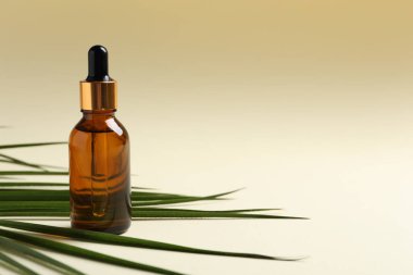 Kozmetik yağlı bir şişe ve bej arka planda yeşil yaprak. Metin için boşluk