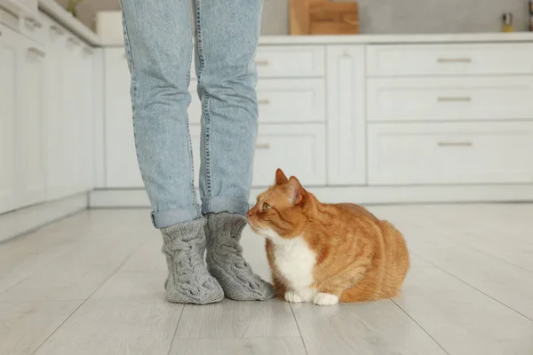 Mutfakta Kedisi Olan Güzel Bir Kadın Yakın Plan — Stok fotoğraf
