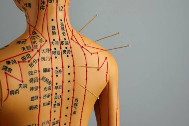Akupunktur - alternatif tıp. Omuzlarında iğne olan insan modeli gri arkaplan, metin için boşluk