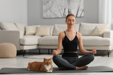 Güzel bir kadın ve sevimli kırmızı kedisi evde yoga yapıyorlar.