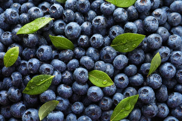 Wet Fresh Blueberries Green Leaves Background Top View — Stock Photo, Image