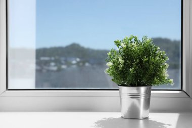 Suni saksı bitkisi güneşli bir günde pencere pervazında, mesaj için yer var. Ev dekoru