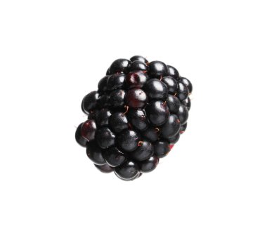 One tasty ripe blackberry isolated on white
