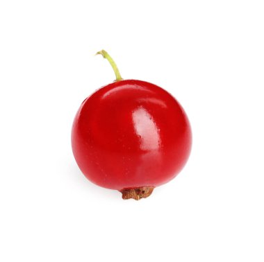 Bir olgun kırmızı frenk üzümü beyaza izole edilmiş.