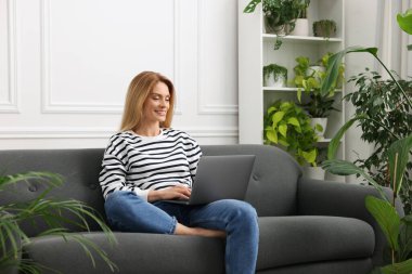 Evdeki güzel saksılarla çevrili kanepede dizüstü bilgisayarla çalışan bir kadın.