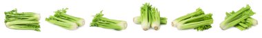 Beyaza izole edilmiş taze yeşil kereviz seti