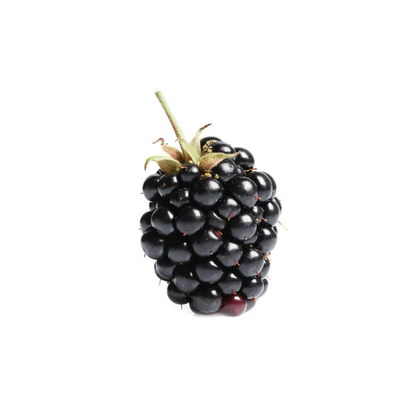 One Tasty Ripe Blackberry Isolated White — ストック写真