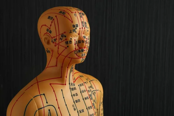 Acupunctuur Model Etalagepop Met Stippen Lijnen Zwarte Achtergrond Ruimte Voor — Stockfoto