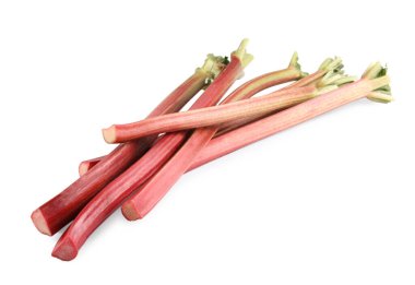 Beyazlar üzerinde izole edilmiş taze ravent sapları.