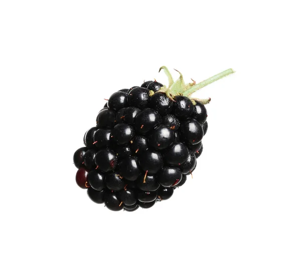One Tasty Ripe Blackberry Isolated White — Stok Foto
