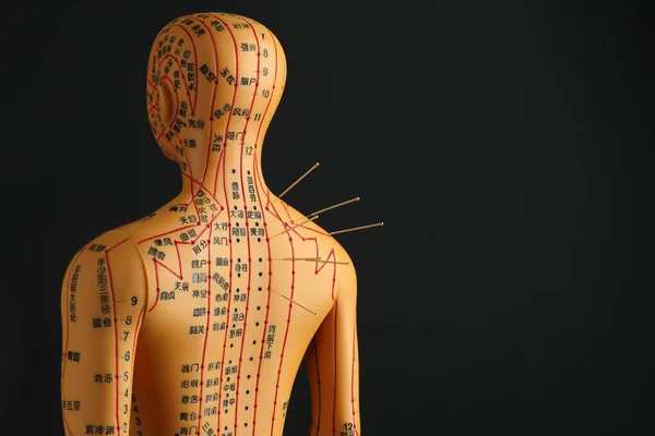 Acupuncture - alternative medicine. Human model with needles in back against black background, space for text
