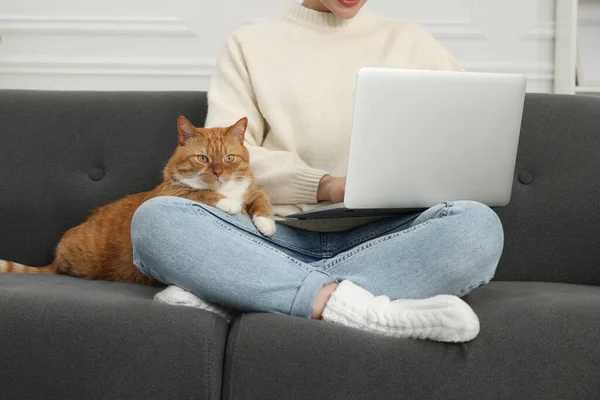 Kobieta Pracująca Laptopem Domu Zbliżenie Cute Kot Siedzi Kanapie Pobliżu — Zdjęcie stockowe