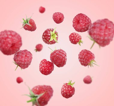 Birçok olgun ahududu pembe arka plana düşüyor.