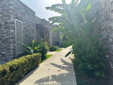 Güneşli bir günde tropikal ağaçlar, bitkiler ve binalar olan güzel bir otel arka bahçesi.