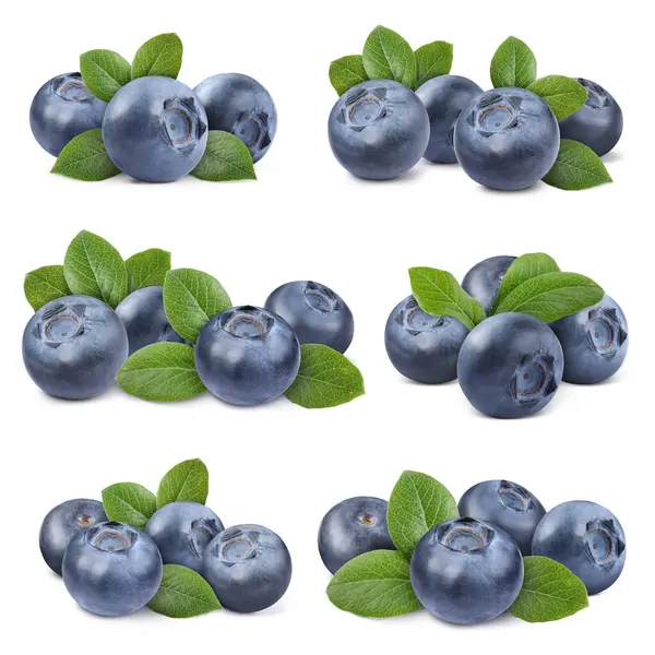 Set Fresh Blueberries Green Leaves Isolated White — Stock Photo, Image