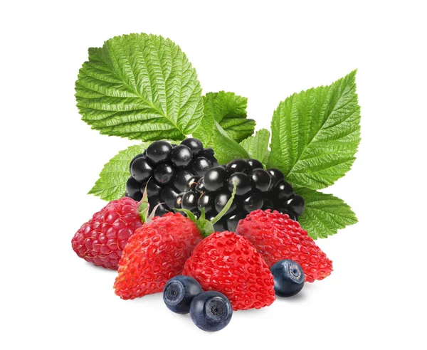 Wild Berries Blackberries Raspberry Strawberries Bilberries Green Leaves Isolated White — Stock Photo, Image