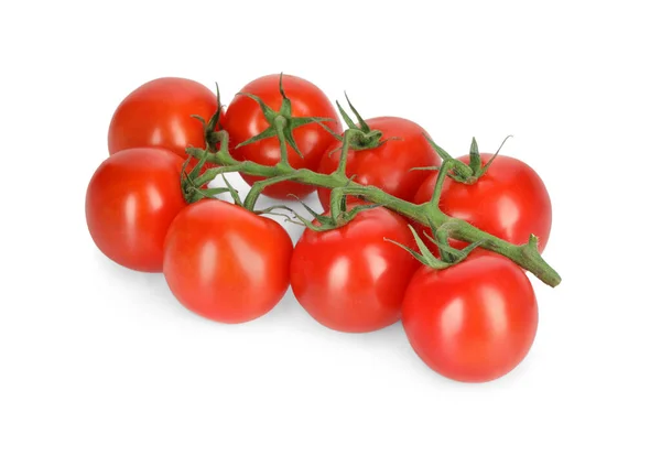 Branch Red Ripe Cherry Tomatoes Isolated White — Stock Photo, Image