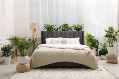 Large comfortable bed, lamp and beautiful houseplants in bedroom. Interior design clipart