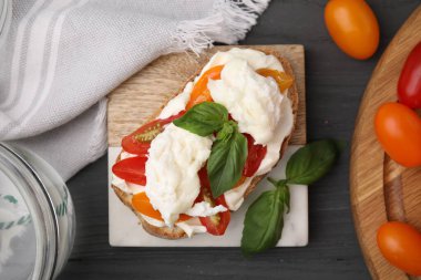 Gri ahşap masada servis edilen burrata peynirli ve domatesli lezzetli sandviç.