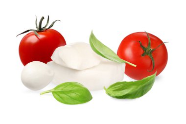 Caprese salatası için malzemeler. Taze domates, fesleğen ve beyaz üzerine izole edilmiş mozzarella peyniri.