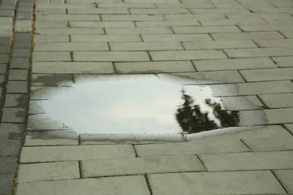 View Puddle Paving Stones Outdoors — Stock Photo, Image